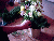 Fleuriste 11