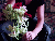 Fleuriste 12